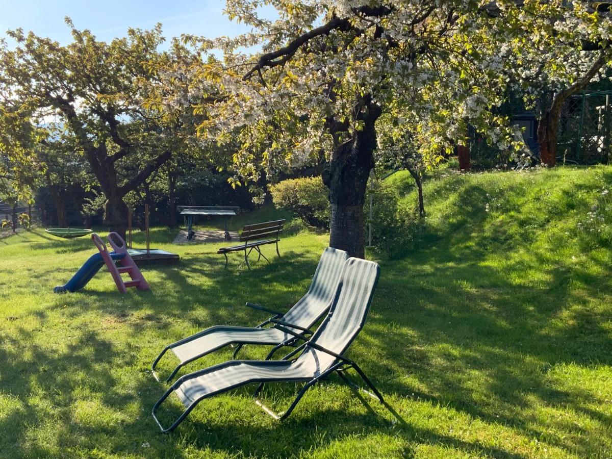 Pension Hoenel-Hof Bad Schandau Bagian luar foto