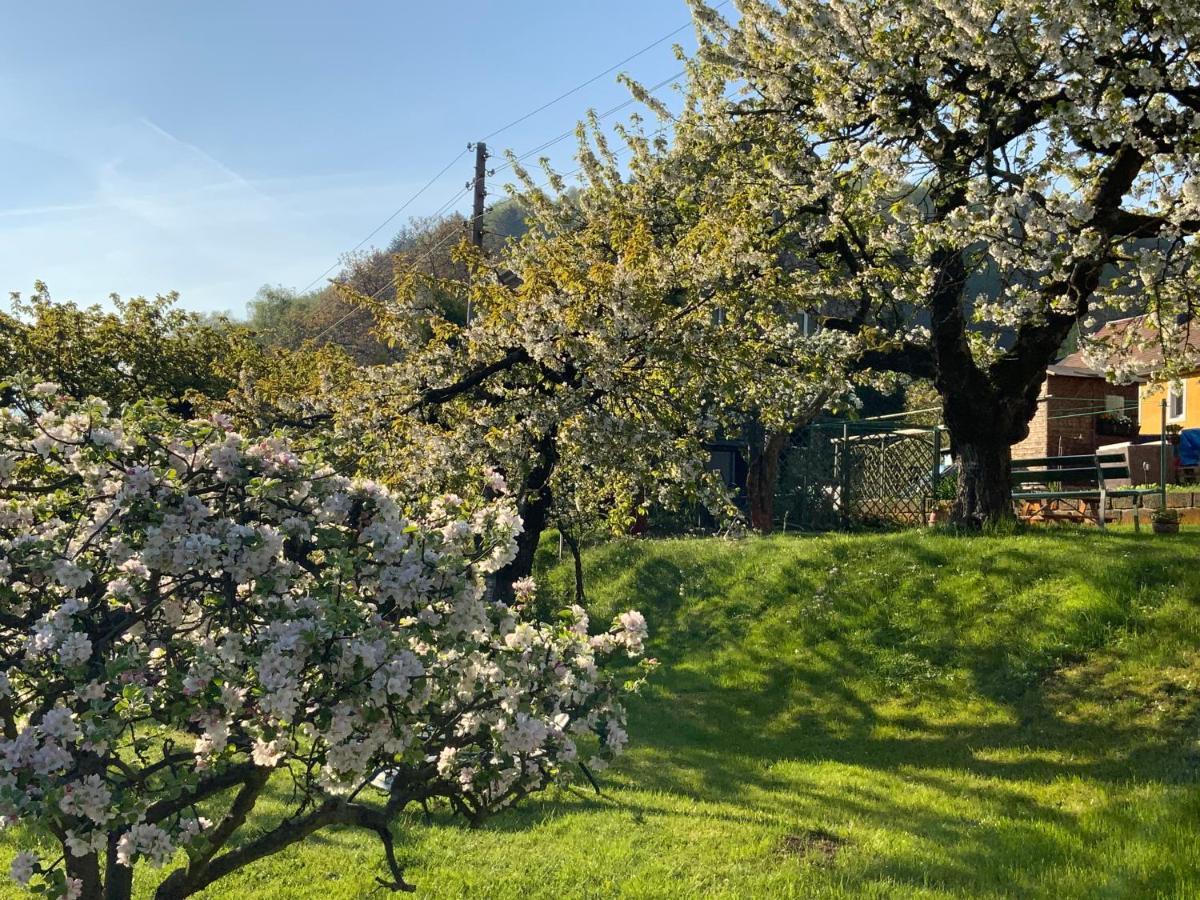 Pension Hoenel-Hof Bad Schandau Bagian luar foto