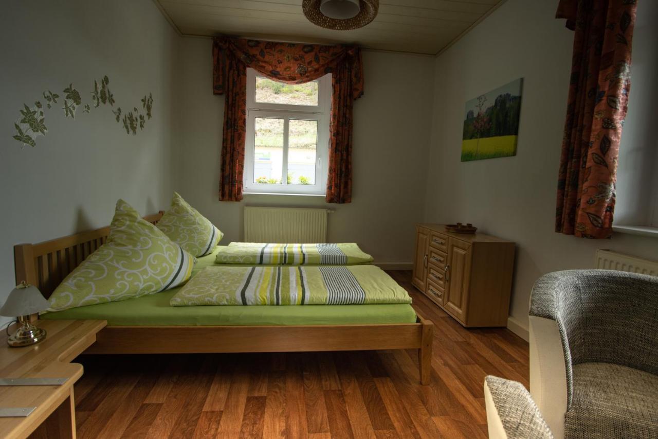 Pension Hoenel-Hof Bad Schandau Bagian luar foto