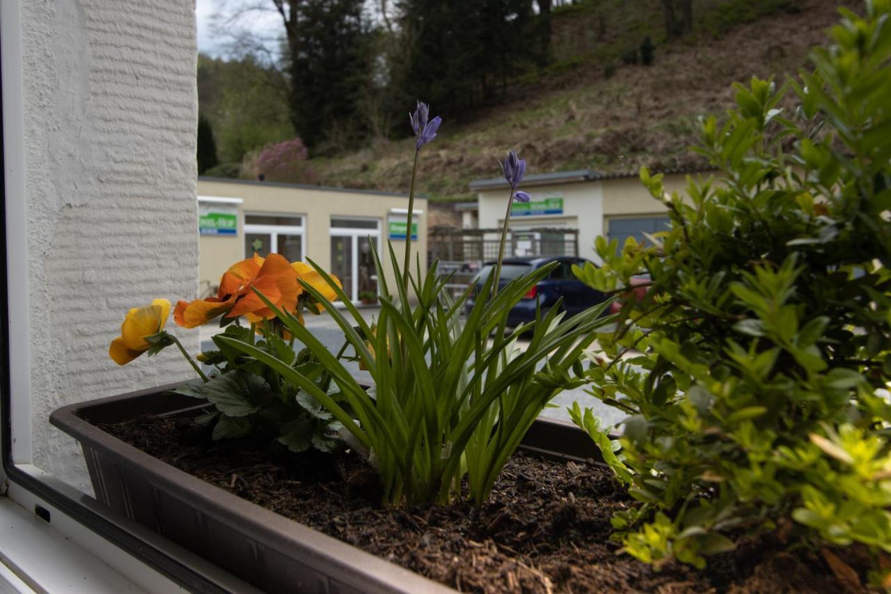 Pension Hoenel-Hof Bad Schandau Bagian luar foto