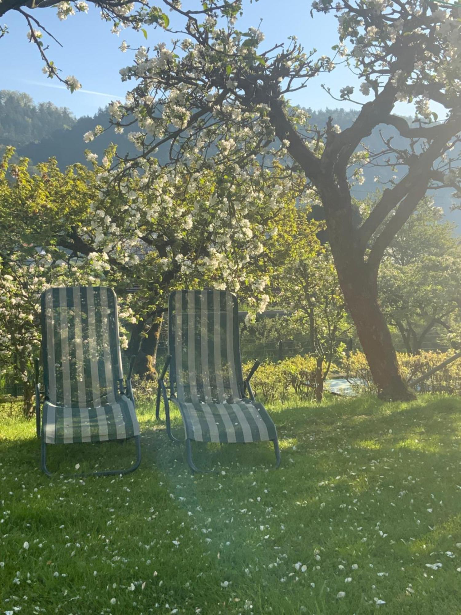 Pension Hoenel-Hof Bad Schandau Bagian luar foto